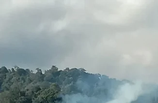 Hutan Lindung Rimbo Aneh Kembali Terbakar, Pihak Terkait Dinilai Lambat Bertindak || Pembiaran Perusakan Hutan Dapat dipidana