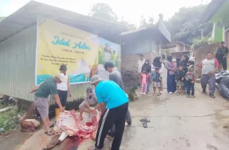 Sapi Bantuan Indojalito Peduli Disembelih di Musala Nurul Yaqin Pasar Usang