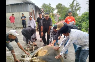591 Hewan Kurban Disembelih Saat Iduladha 1446 H