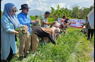 Oplus_131072Oplus_131072