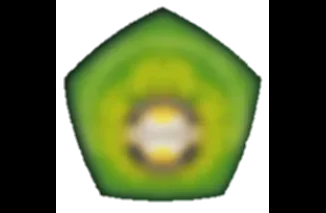 SELEKSI CALON PENERIMA KIP-K DI SALAH SATU UNIVERSITAS DI DUGA TIDAK MELALUI SELEKSI MURNI DAN TIDAK TRANSPARAN