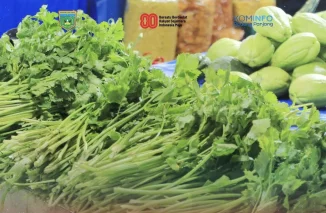 Harga Seledri di Padang Panjang Turun Drastis