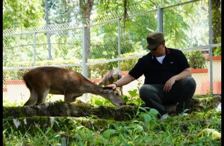 Belajar Budaya, Bermain dengan Rusa, Pesona Baru PDIKM Padang Panjang