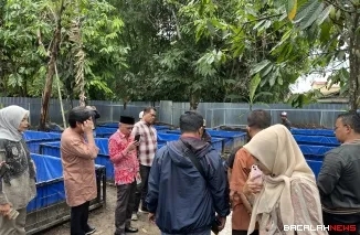 Belut Usaha Alternatif Peningkatan Ekonomi Masyarakat