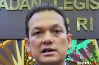 Anggota Komisi XI DPR RI Martin Manurung. Dok