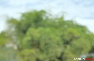 Ketua DPRD Kota Padang  Muharlion,  langsung memimpin aksi gotong royong bersama Forum Kelompok Siaga Bangkit (FKSB) Kota Padang di Kampung Caniago, Kelurahan Gurun Laweh, Kecamatan Nanggalo, Sabtu (17/1/2026).