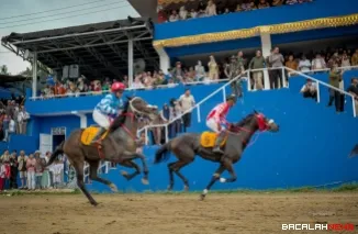 Bupati Tanah Datar Eka Putra menutup Wirabraja Pacu Kuda Open Race dan Tradisional 2026 di Gelanggang Pacu Kuda Dang Tuanku Bukit Gombak.