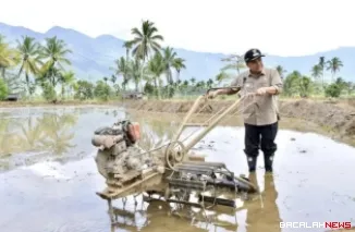 Bupati Agam Tinjau Rehabilitasi 69 Hektare Lahan Terdampak Bencana di Tanjung Raya