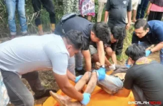 Pergi ke Ladang Tak Kunjung Pulang, Petani di Agam Ditemukan Tak Bernyawa di Tepi Jalan