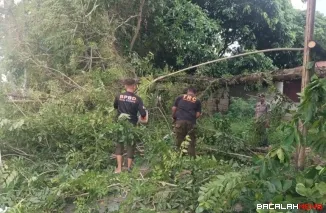Tim Rescue PB BPBD Kota Padang langsung turun ke lokasi setelah menerima laporan masyarakat untuk melakukan penanganan darurat.