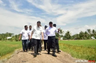 Wakil Ketua Komisi IV DPR RI, Alex Indra Lukman (kiri depan) meninjau sawah petani di Sumsel, beberapa waktu lalu. (humas)