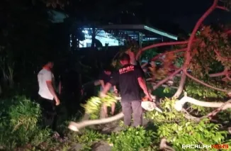 Tim BPBD Padang saat melakukan pembersihan material pohon tumbang.