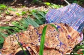 Penemuan mayat seorang pria tergantung di Jorong Koto Sikabau, Kenagarian Sikabau, Kecamatan Pulau Punjung, Kabupaten Dharmasraya. (Dok. Ist)