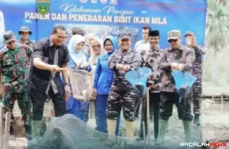 Wako Hendri Arnis Ikuti Panen Raya Ikan Nila, Perkuat Ketahanan Pangan Nasional