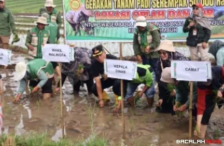 Payakumbuh Dukung Gerakan Tanam Serentak 50 Ribu Hektare Perkuat Swasembada Pangan
