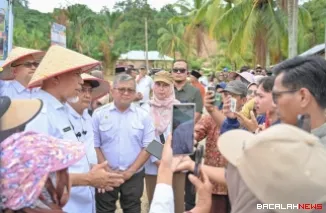 Rehabilitasi Lahan Rusak Ringan dan Sedang di Sumbar Tuntas