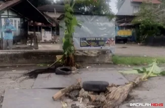Warga Tanam Pisang di Jalan Rusak Lubuk Basung, Pemkab Agam--Pemprov Sumbar Pastikan Perbaikan Gorong-gorong Segera Ditangani
