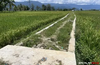 Telah Dua Tahun, Jalan Sawah Tujuah Tapi Danau Masih Terbengkalai